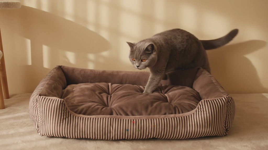 Weiches Körbchen für Hund und Katze - Bequeme Schlafstätte